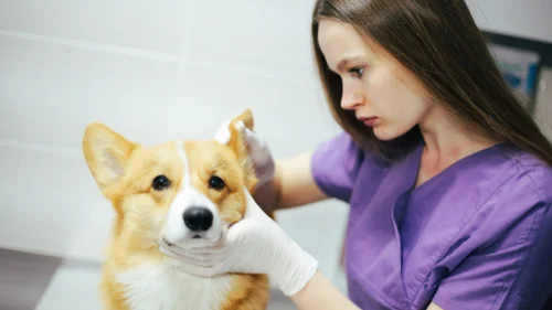 シフト管理ラボ (7)