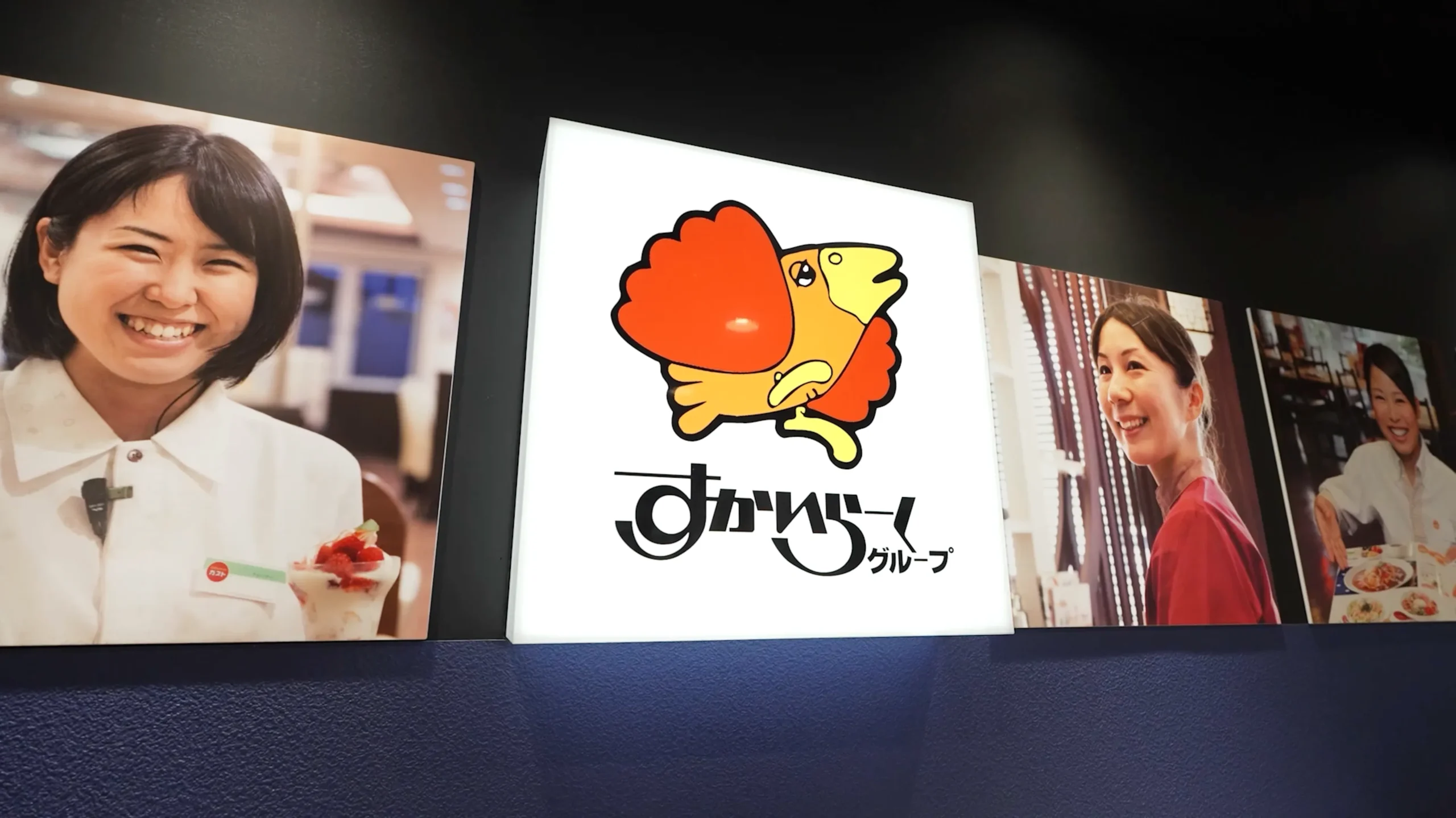 case_rakishifu_skylark_10